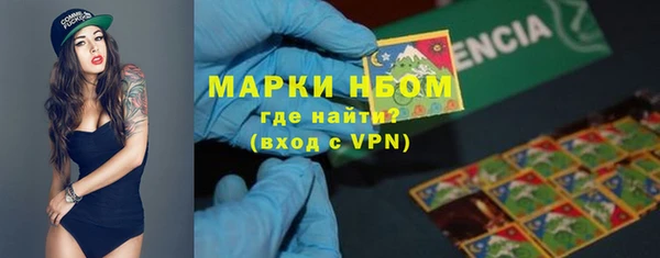 дживик Бородино