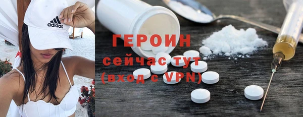 дживик Бородино