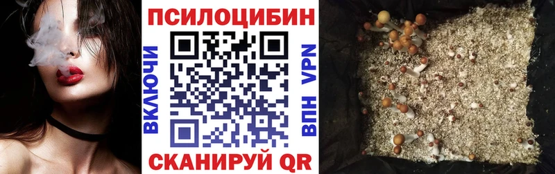 Псилоцибиновые грибы мицелий  Купить  Гдов 